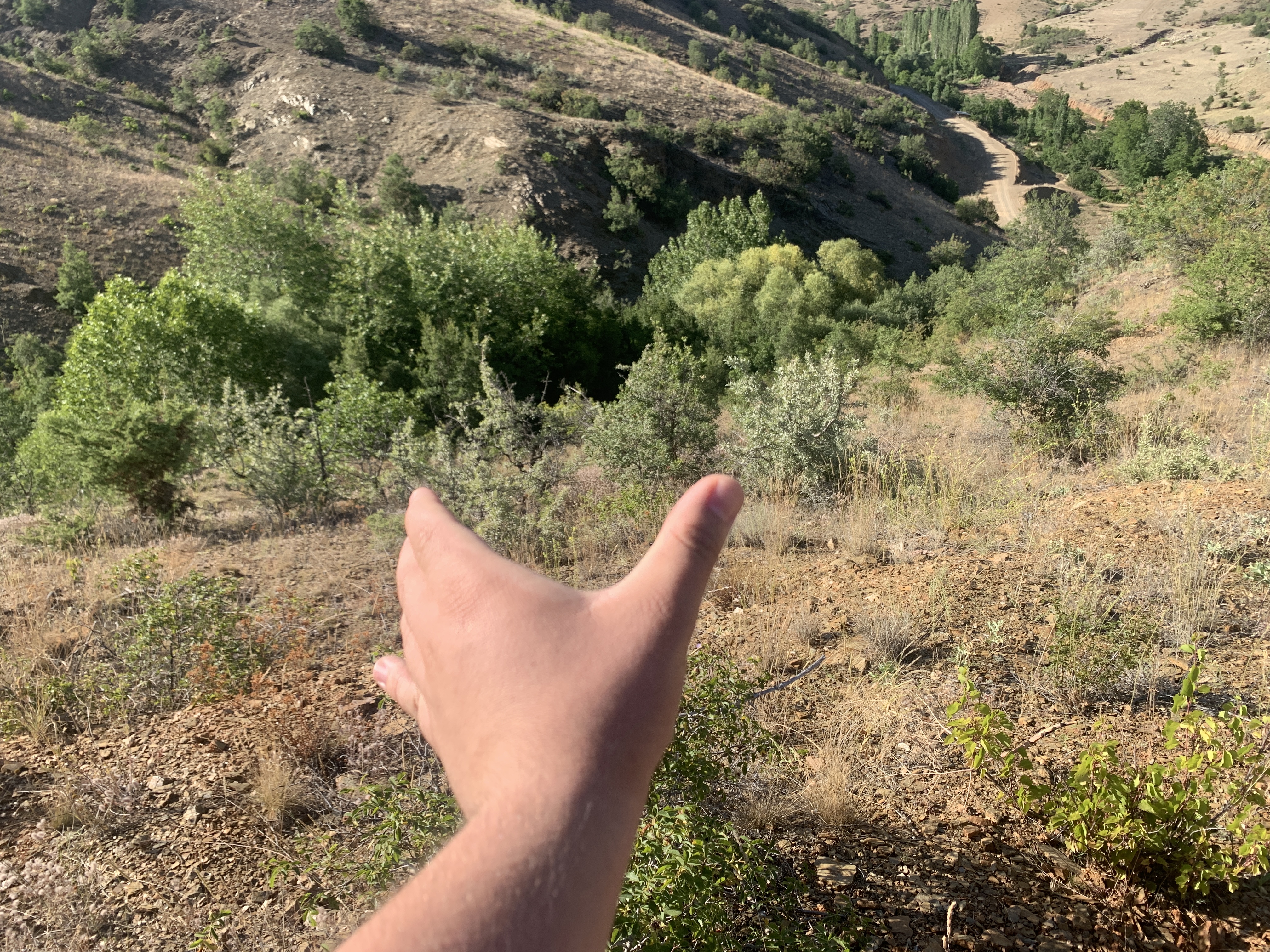 İlan Fotoğrafı